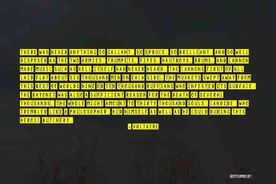 Dewoody Air Quotes By Voltaire Dewoody Air Quotes By Voltaire
