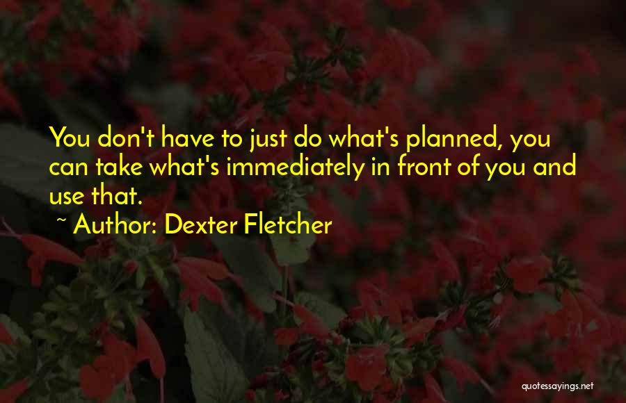 Dexter Fletcher Quotes 544110