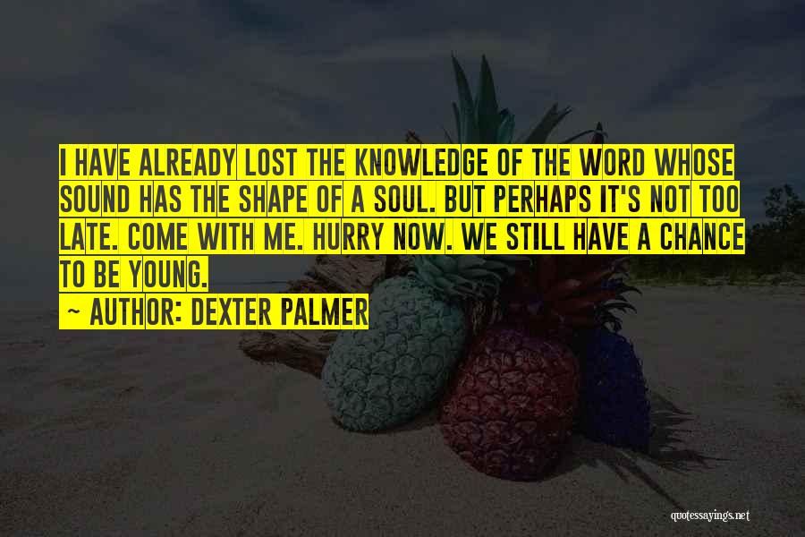 Dexter Palmer Quotes 1470313