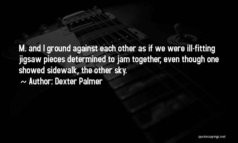 Dexter Palmer Quotes 1593200