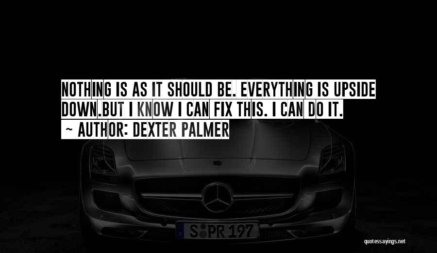 Dexter Palmer Quotes 250338