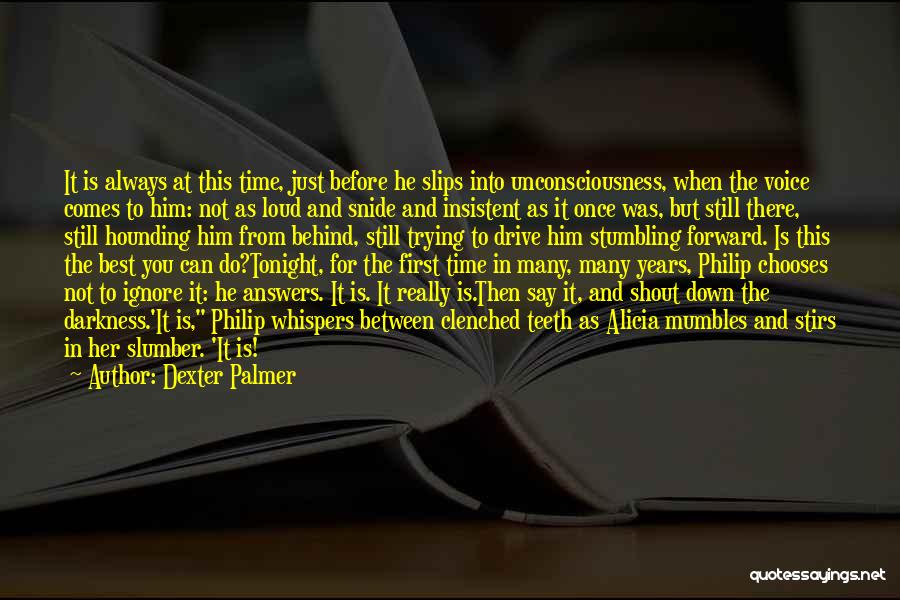 Dexter Palmer Quotes 550433