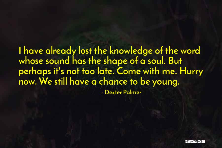 Dexter's Quotes By Dexter Palmer Dexter's Quotes By Dexter Palmer