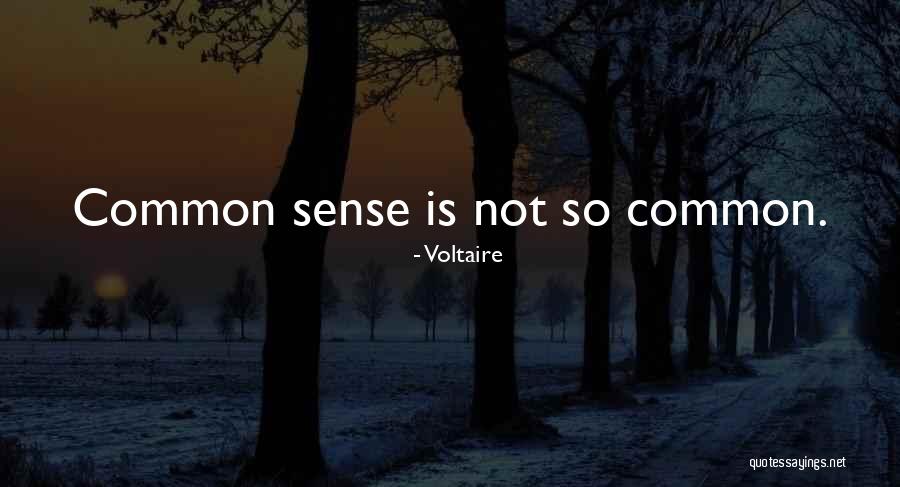 Dftba Quotes By Voltaire Dftba Quotes By Voltaire