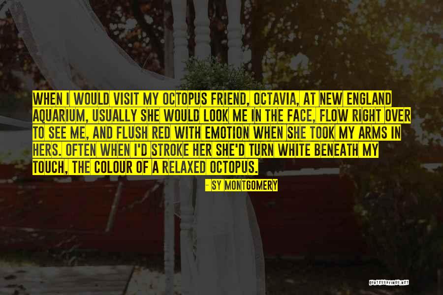 Dhamchoe Nyima Quotes By Sy Montgomery Dhamchoe Nyima Quotes By Sy Montgomery