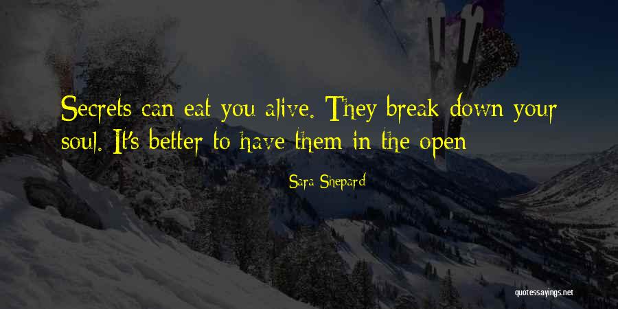 Dhamija Kailash Quotes By Sara Shepard Dhamija Kailash Quotes By Sara Shepard