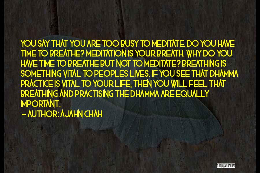 Dhamma Quotes By Ajahn Chah
