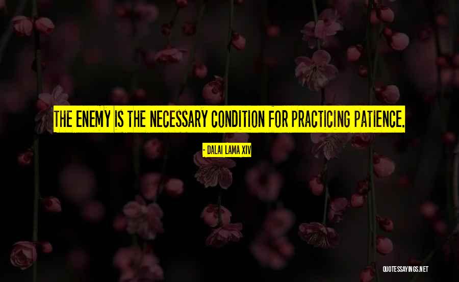 Dhampire Quotes By Dalai Lama XIV Dhampire Quotes By Dalai Lama XIV