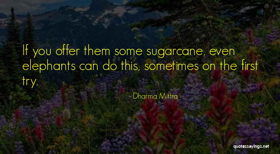 Dharma Mittra Quotes 2211725 Dharma Mittra Quotes 2211725