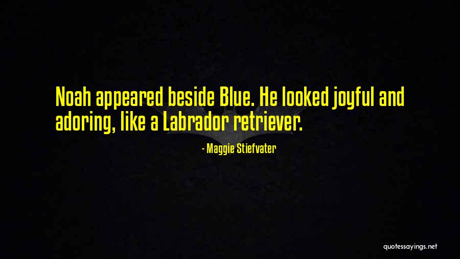 Dharr Man Quotes By Maggie Stiefvater Dharr Man Quotes By Maggie Stiefvater