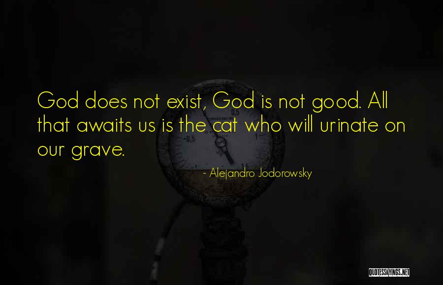 Dhoop Aarti Quotes By Alejandro Jodorowsky Dhoop Aarti Quotes By Alejandro Jodorowsky