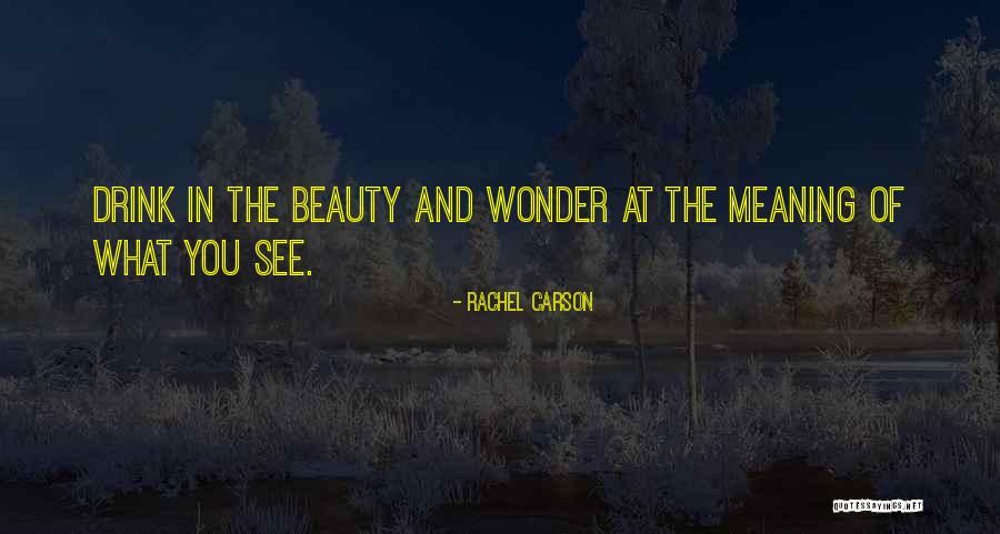 Dhoop Ki Kiran Quotes By Rachel Carson Dhoop Ki Kiran Quotes By Rachel Carson