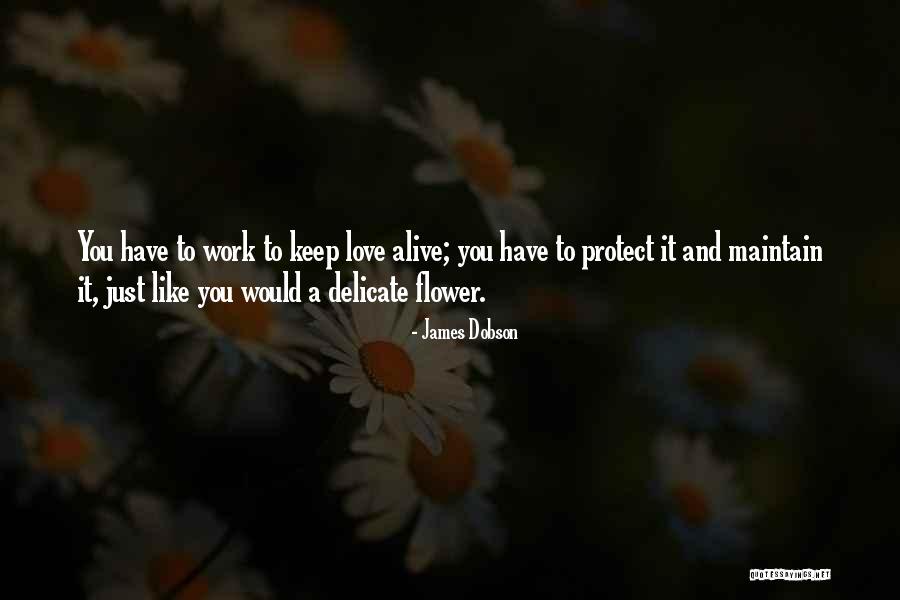 Dhote Quotes By James Dobson Dhote Quotes By James Dobson