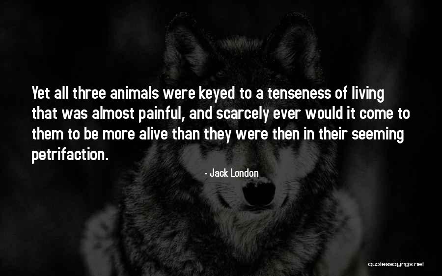 Dhrubotara Si Quotes By Jack London Dhrubotara Si Quotes By Jack London