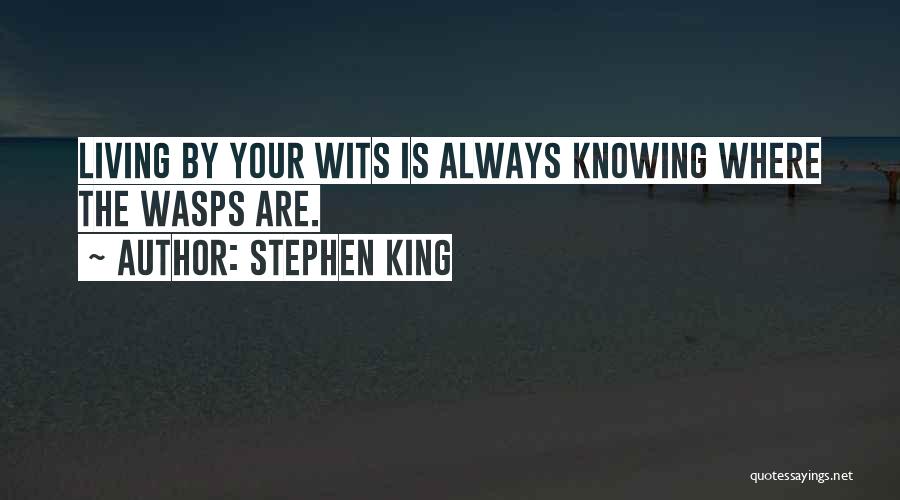 Dhuyvetter Ronse Quotes By Stephen King