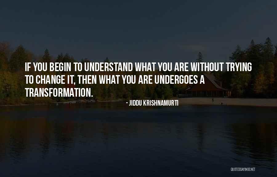 Di Bianco Shoes Quotes By Jiddu Krishnamurti Di Bianco Shoes Quotes By Jiddu Krishnamurti