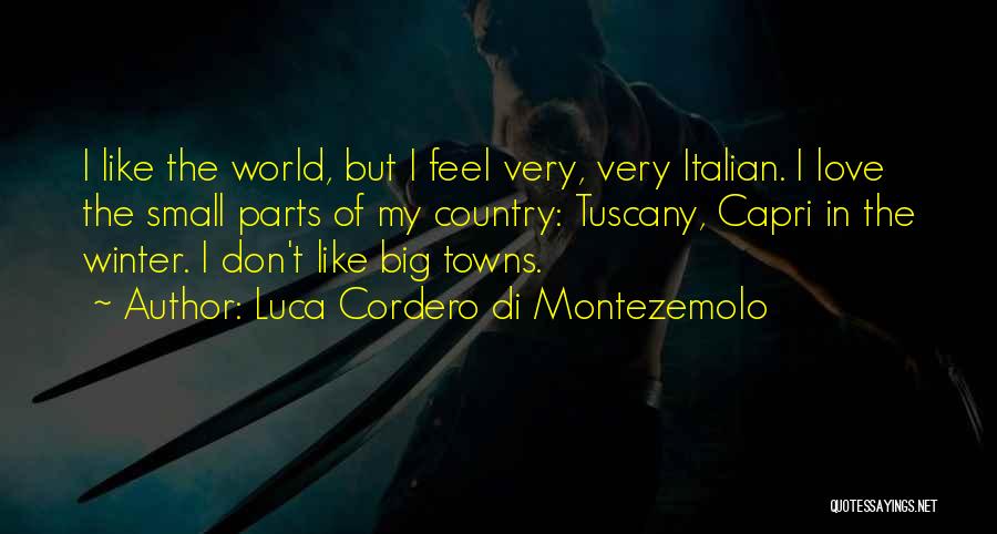 Di Montezemolo Quotes By Luca Cordero Di Montezemolo