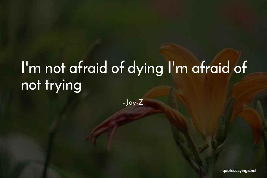Di Xido De Carbono Quotes By Jay-Z Di Xido De Carbono Quotes By Jay-Z