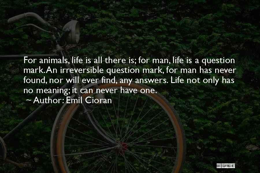 Diablo Scoundrel Quotes By Emil Cioran