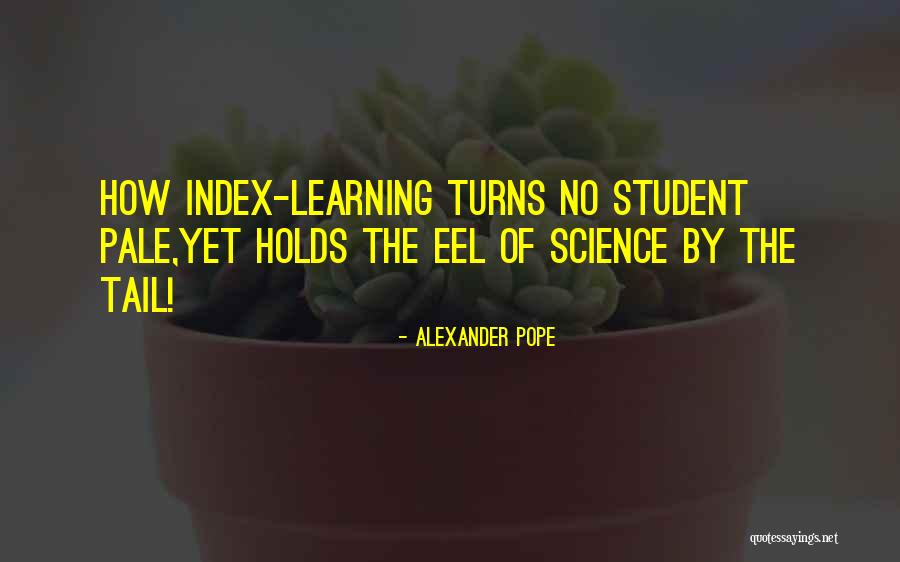 Diadora Quotes By Alexander Pope Diadora Quotes By Alexander Pope