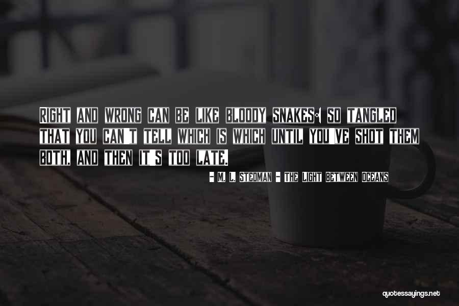 Dialoguing With God Quotes By M. L. Stedman - The Light Between Oceans Dialoguing With God Quotes By M. L. Stedman - The Light Between Oceans