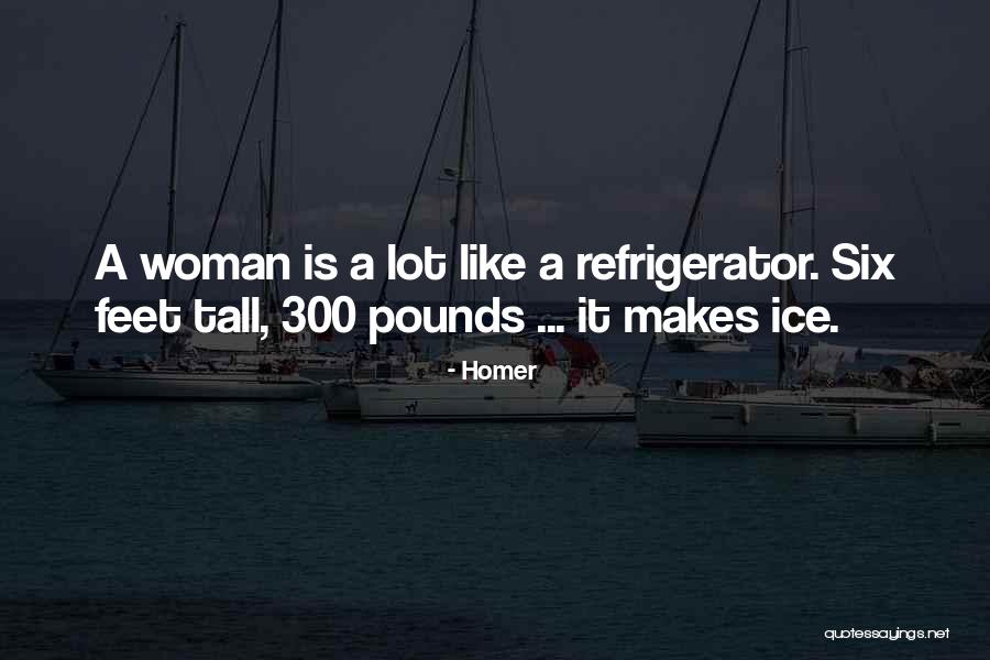 Diamandopol Quotes By Homer Diamandopol Quotes By Homer