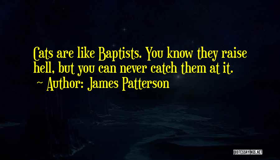 Diamantaras Quotes By James Patterson