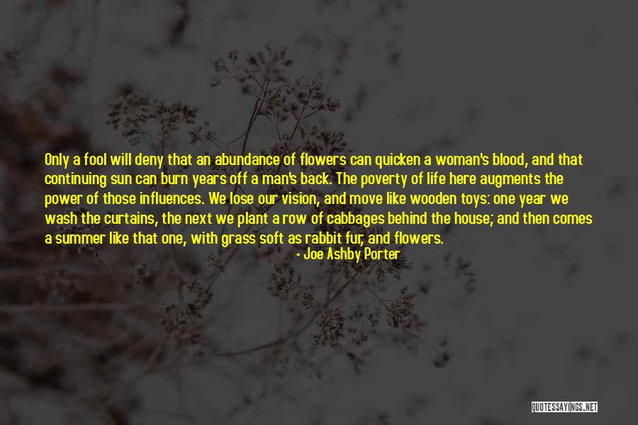 Diamantino Quotes By Joe Ashby Porter Diamantino Quotes By Joe Ashby Porter