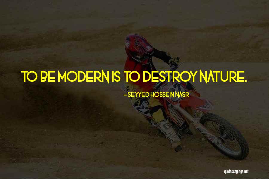 Diamantino Viseu Quotes By Seyyed Hossein Nasr Diamantino Viseu Quotes By Seyyed Hossein Nasr