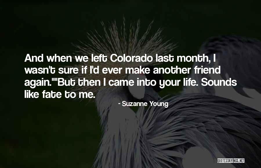 Diamenty Gra Quotes By Suzanne Young Diamenty Gra Quotes By Suzanne Young