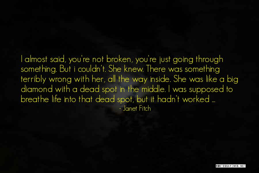 Diamond Life Quotes By Janet Fitch Diamond Life Quotes By Janet Fitch
