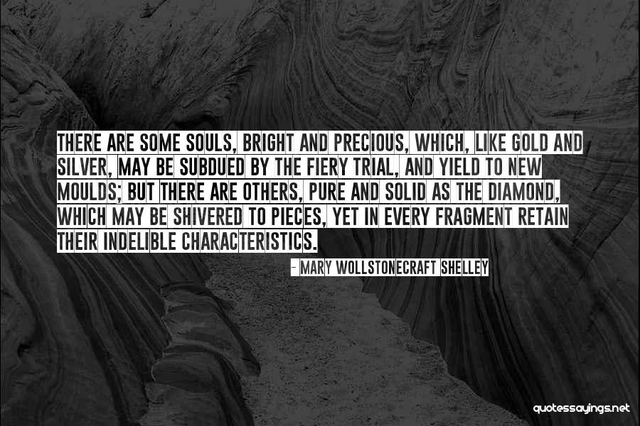 Diamond Life Quotes By Mary Wollstonecraft Shelley Diamond Life Quotes By Mary Wollstonecraft Shelley