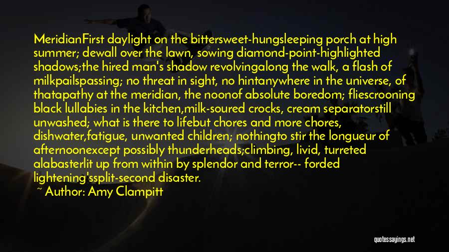 Diamond Quotes By Amy Clampitt