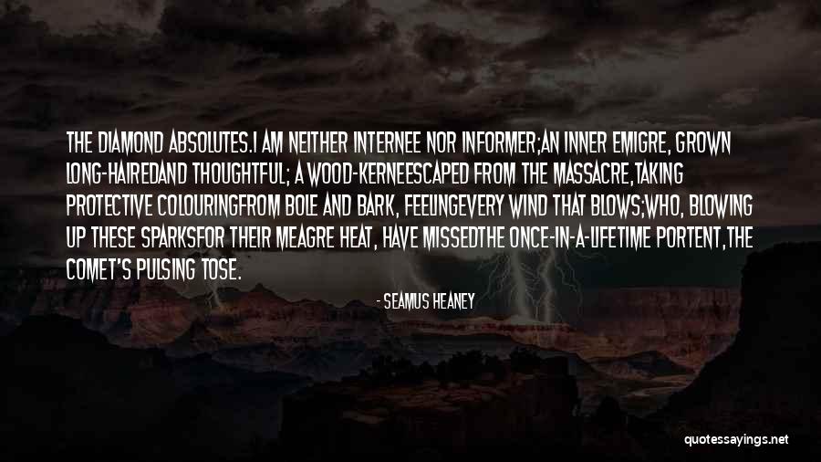Diamond Quotes By Seamus Heaney Diamond Quotes By Seamus Heaney