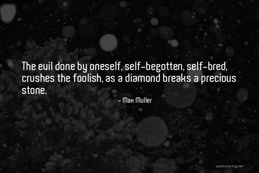 Diamond Stone Quotes By Max Muller