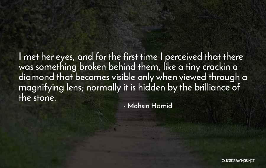 Diamond Stone Quotes By Mohsin Hamid