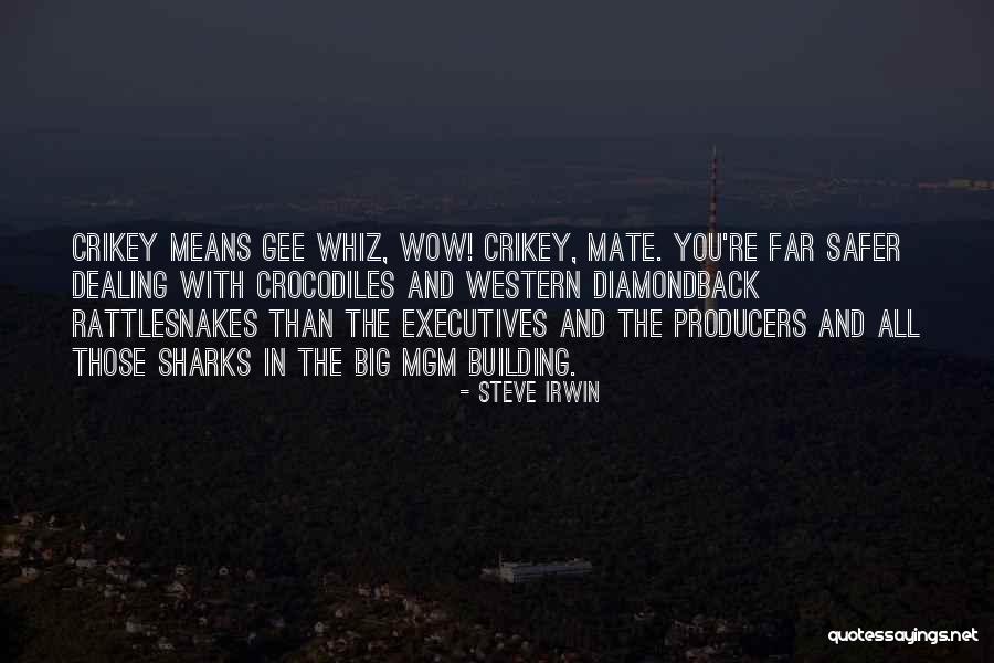 Diamondback Quotes By Steve Irwin Diamondback Quotes By Steve Irwin