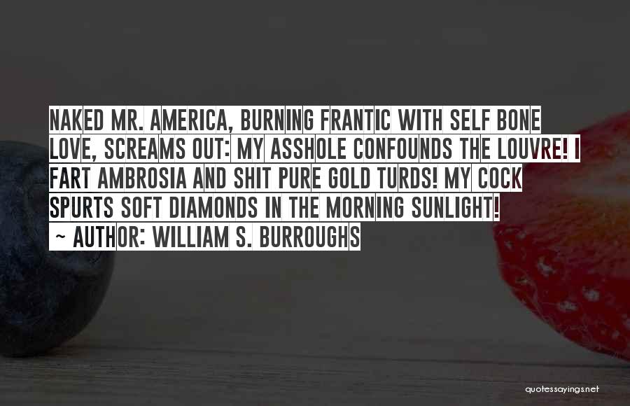 Diamonds And Love Quotes By William S. Burroughs