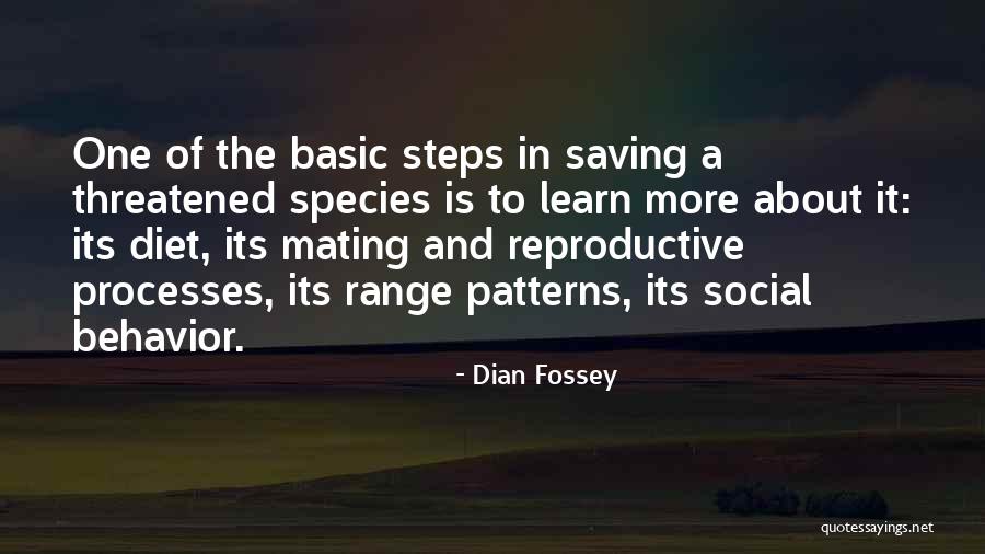 Dian Fossey Quotes 1221858