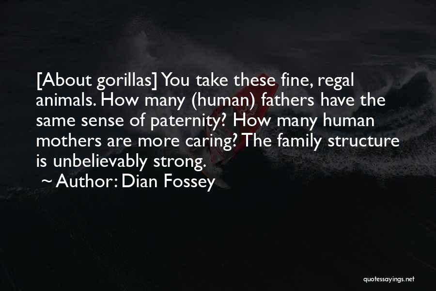 Dian Fossey Quotes 2006854