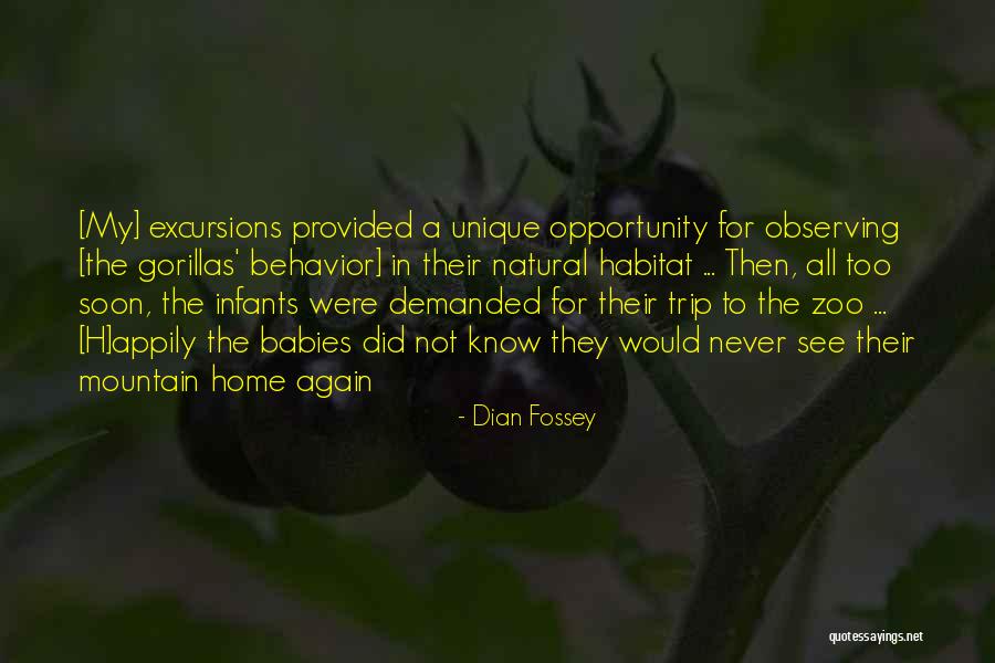 Dian Fossey Quotes 568323