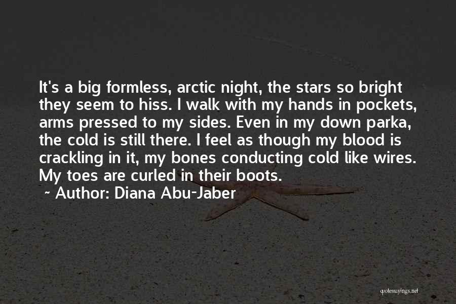 Diana Abu-Jaber Quotes 2085811