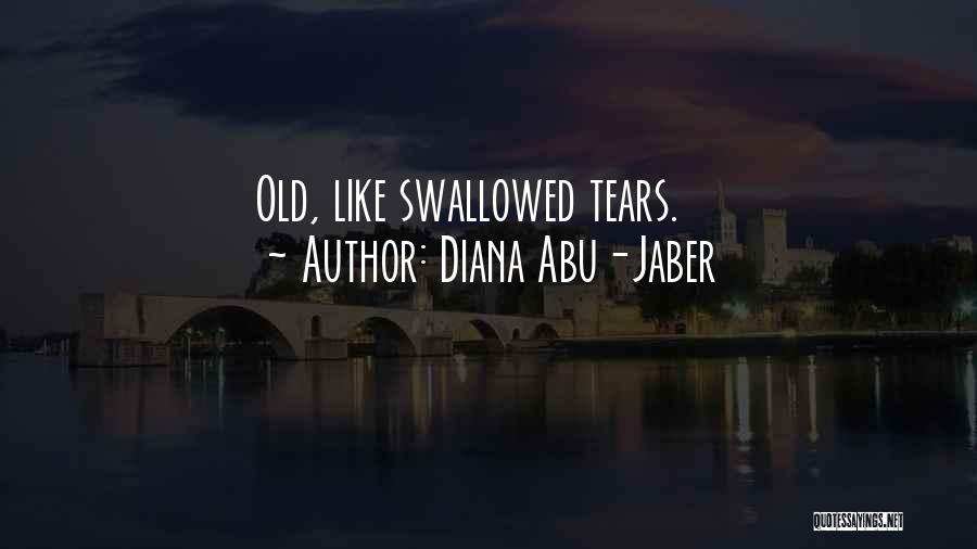 Diana Abu-Jaber Quotes 925323