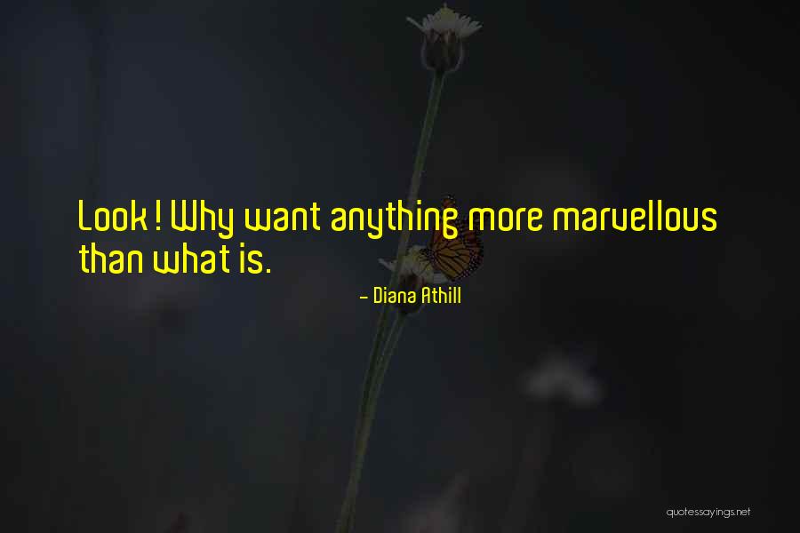 Diana Athill Quotes 2110427 Diana Athill Quotes 2110427