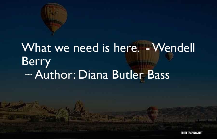 Diana Butler Bass Quotes 1785971