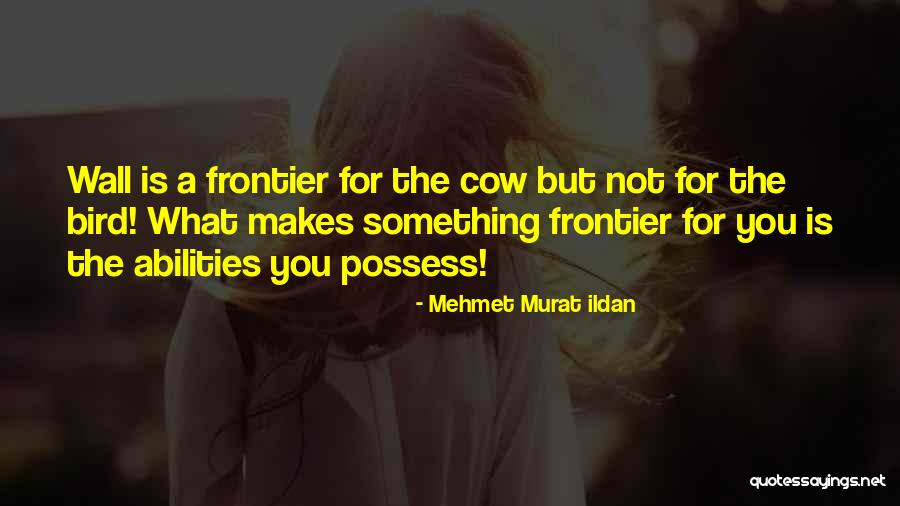 Diana Carroll Quotes By Mehmet Murat Ildan Diana Carroll Quotes By Mehmet Murat Ildan