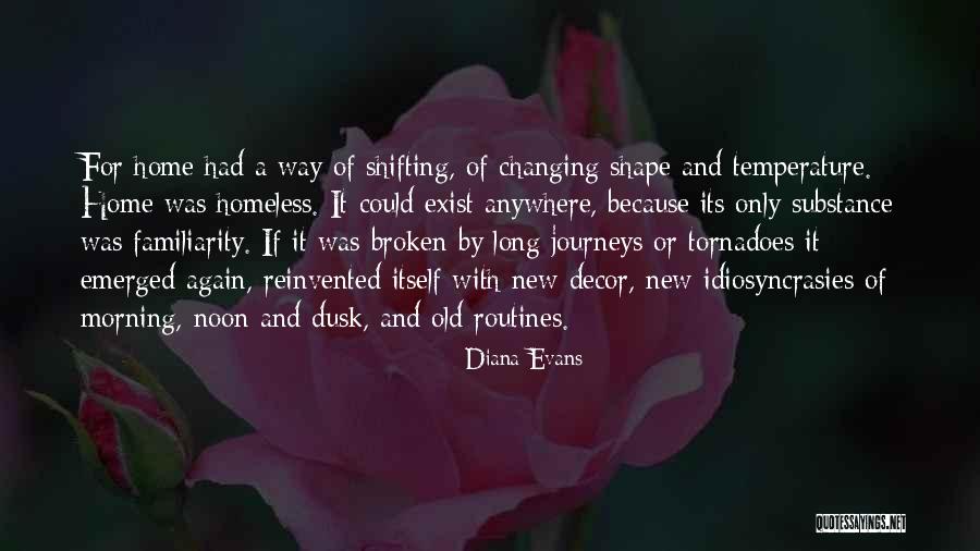 Diana Evans Quotes 1211542