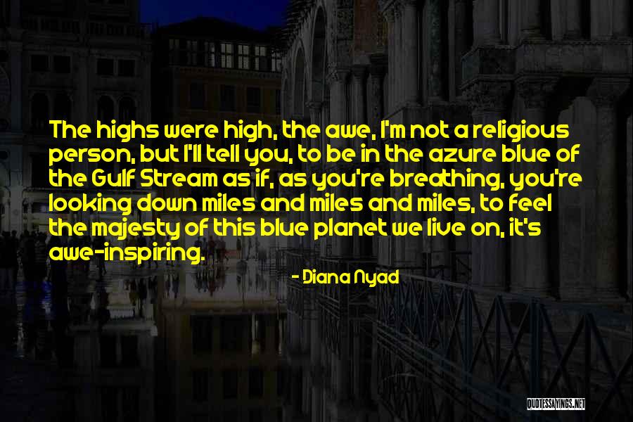 Diana Nyad Quotes 1663188