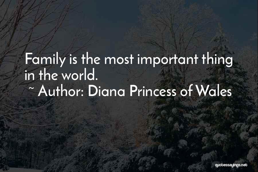 Diana Princess Of Wales Quotes 698686