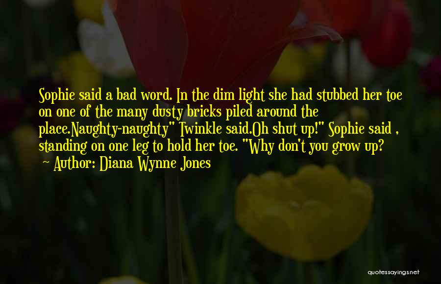 Diana Wynne Jones Quotes 1090400